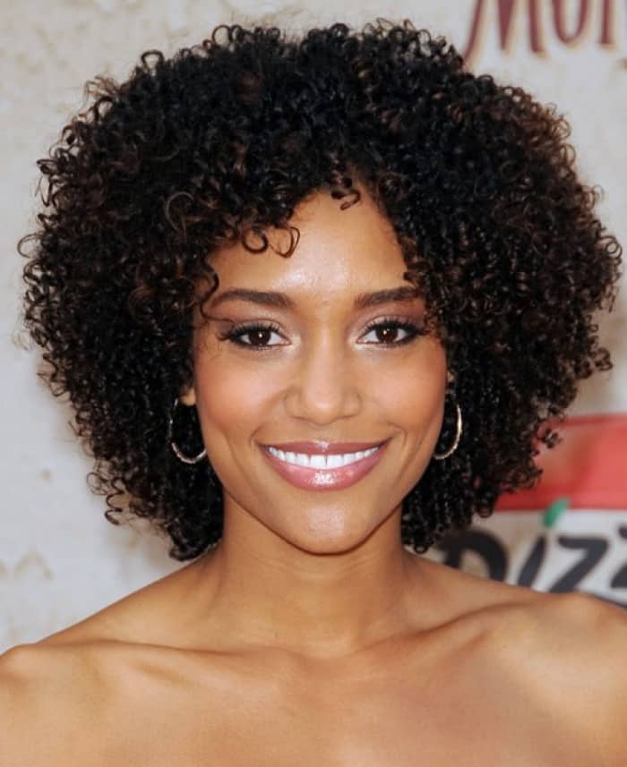 2016 Curly New Hairstyles for Black Women