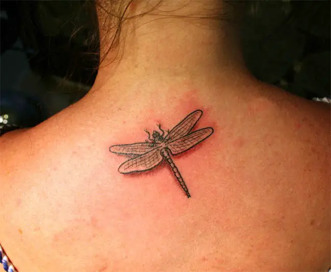 Beautiful Dragonfly Tattoo on Upper Back
