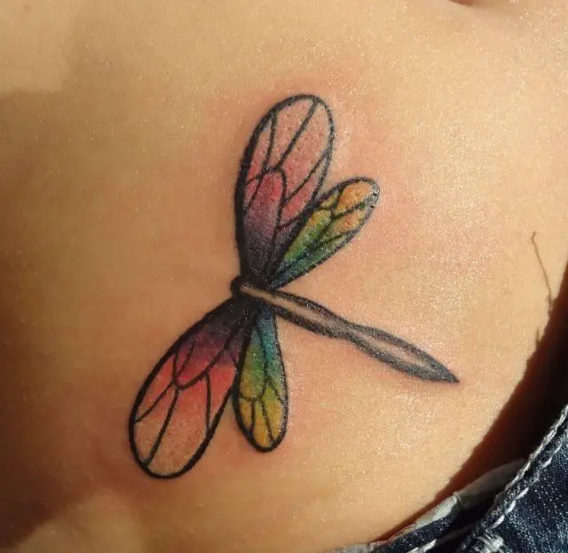 Latest Water Dragonfly Tattoo on Back