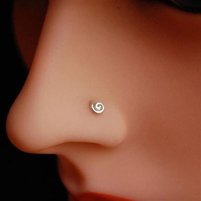 15 Fantastic Small Nose Ring Designs Pictures SheIdeas