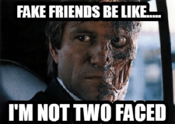 memes about fake friends