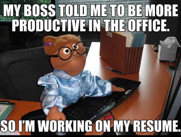 funny boss memes to laugh