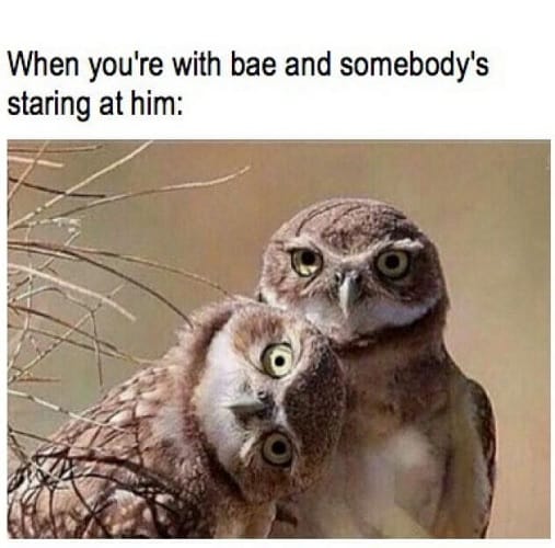 funny memes for couples