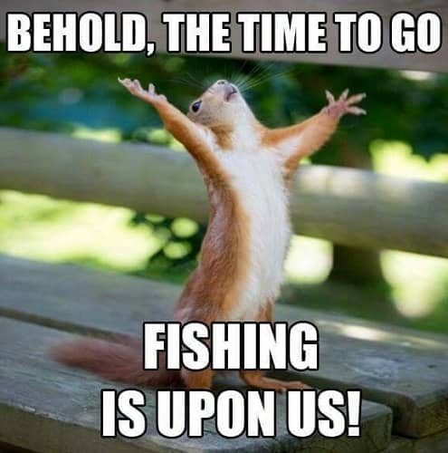 funny memes about fishing