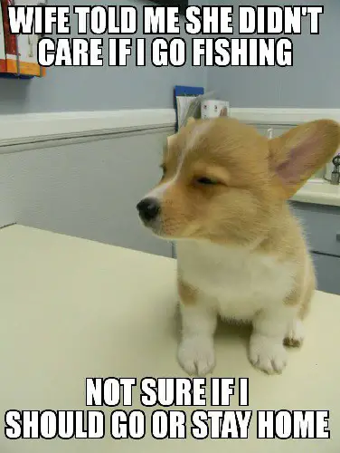 funny memes regarding fishing