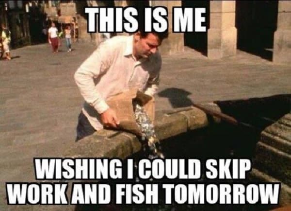 funny fishing meme