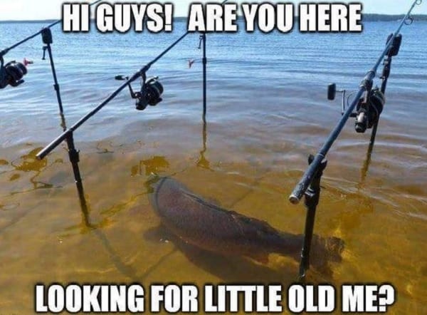 hilarious fishing memes