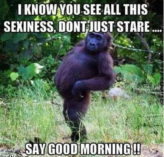 50 Funny Good Morning Memes for Kick-Ass Mornings - SheIdeas