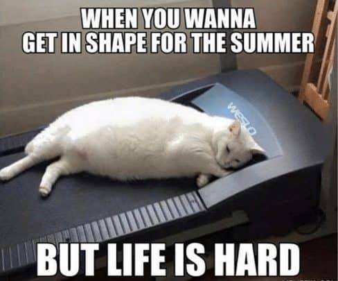 funny memes about hardship of life
