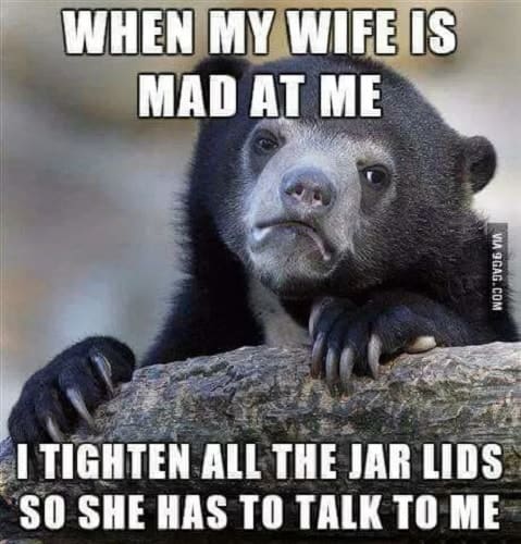 memes regarding wife