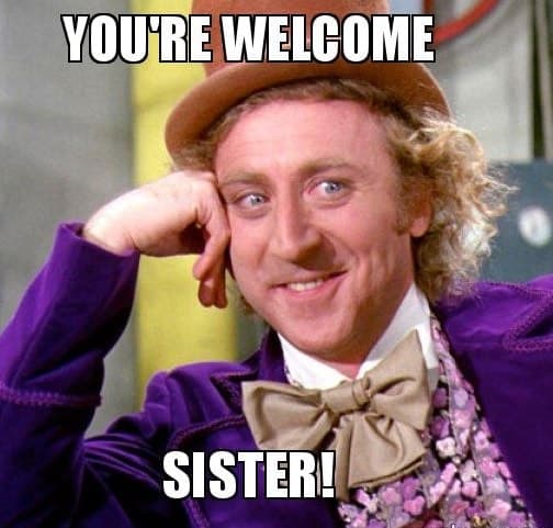 you're welcome meme for sister