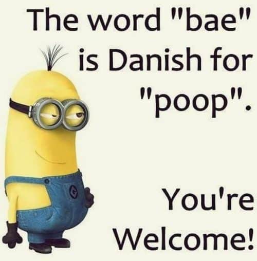 you are welcome meme funny