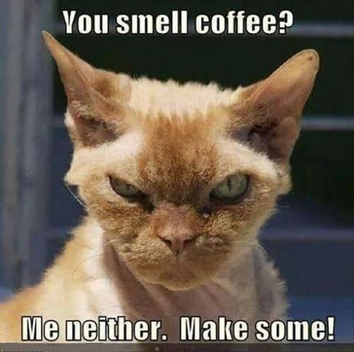 30 I Need Coffee Memes for All Coffee Lovers - SheIdeas