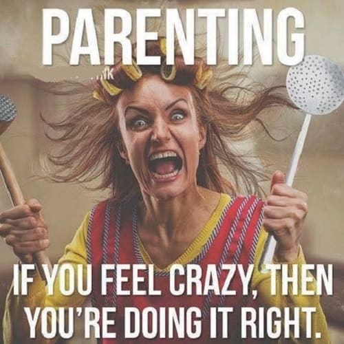 20 Crazy Mom Memes That'll Crack You Up - SheIdeas