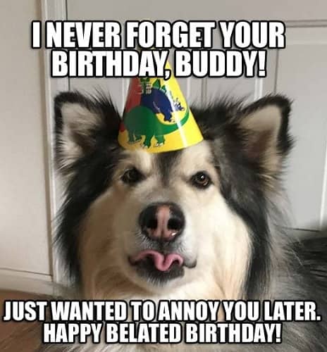 funny memes for belated birthday