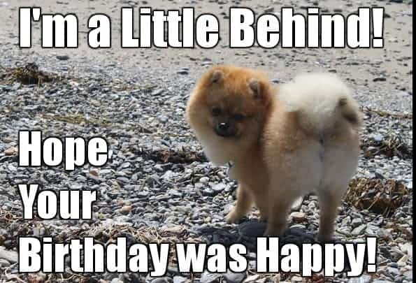 funny belated birthday meme that makes you laugh