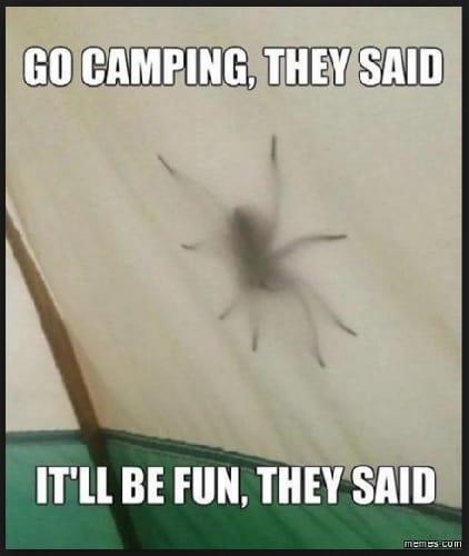 memes about going camping
