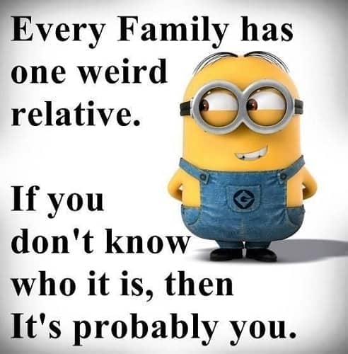 funny family meme