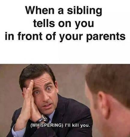 hilarious sibling meme to laugh