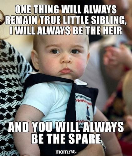 funny meme for little sibling