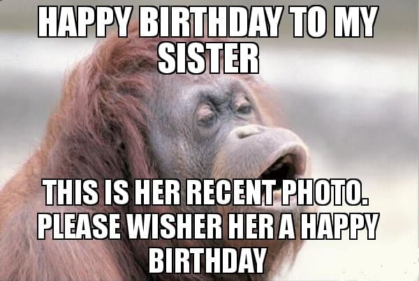 funny meme for your sister's birthday